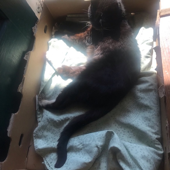 PRICELESS - Picture 2 of 7